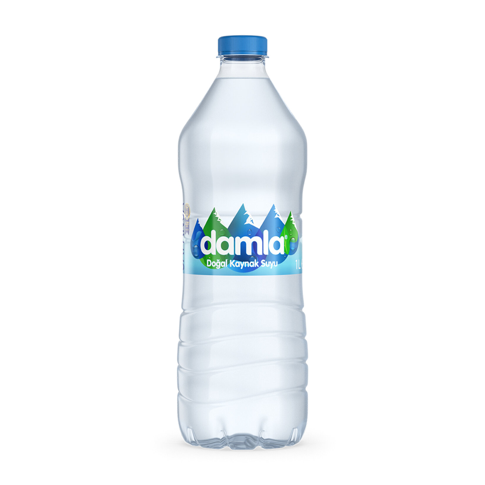 DAMLA SU PET 1,0 LT (12 ADET)