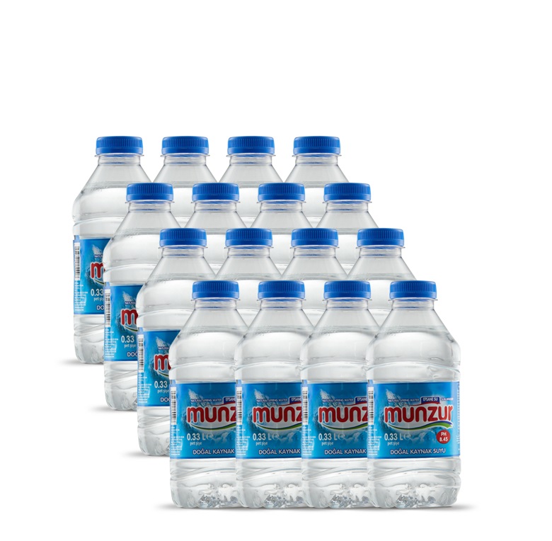 MUNZUR PET 0.5 LT (24)