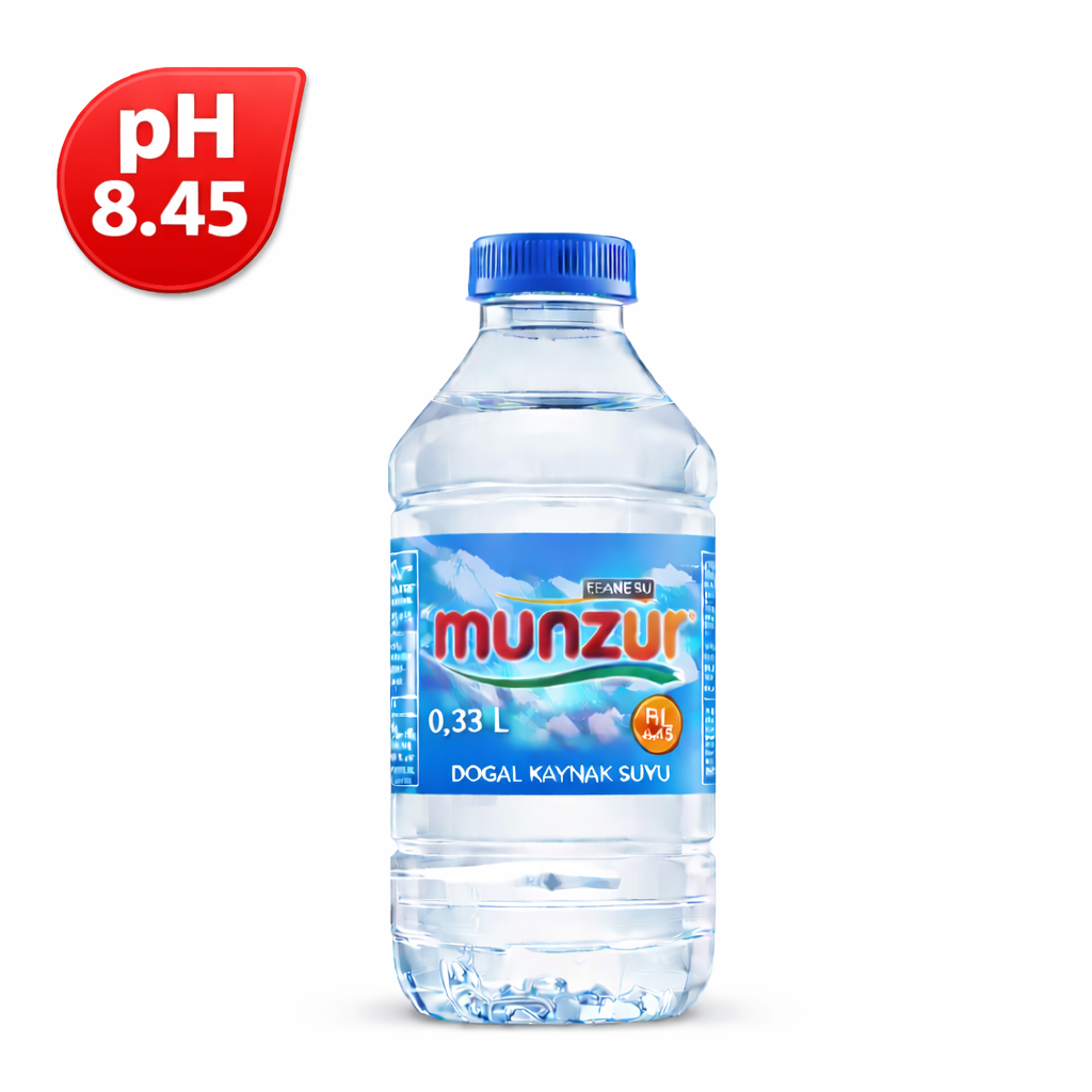 MUNZUR PET 0.33 LT (24)