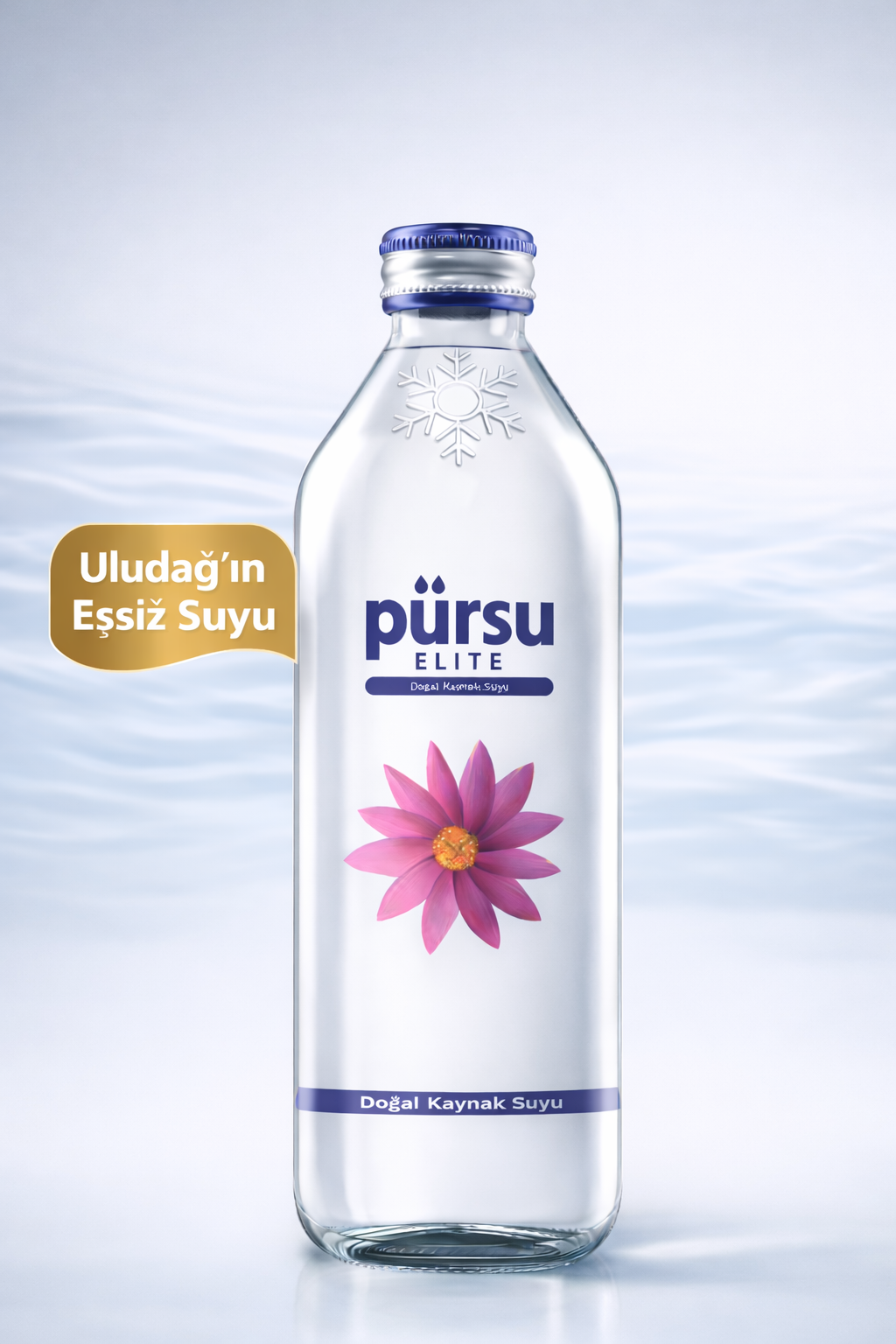 PÜRSU CAM 0.33 LT (12)