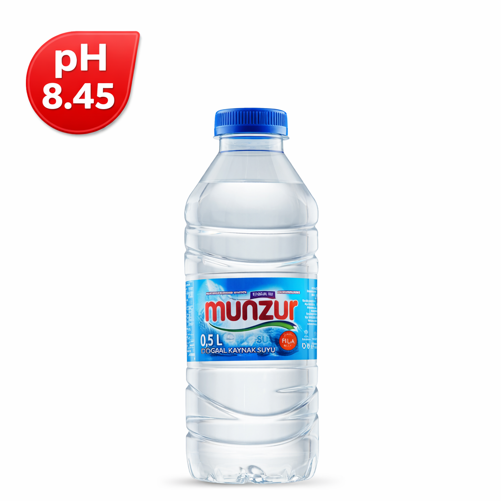 MUNZUR PET 0.5 LT (24)