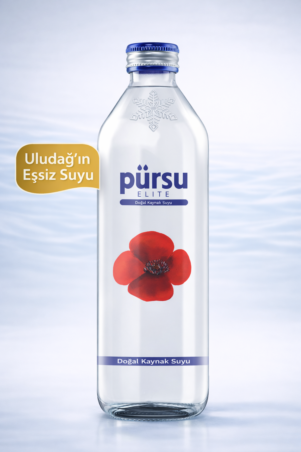 PÜRSU CAM 0.75 LT (6)