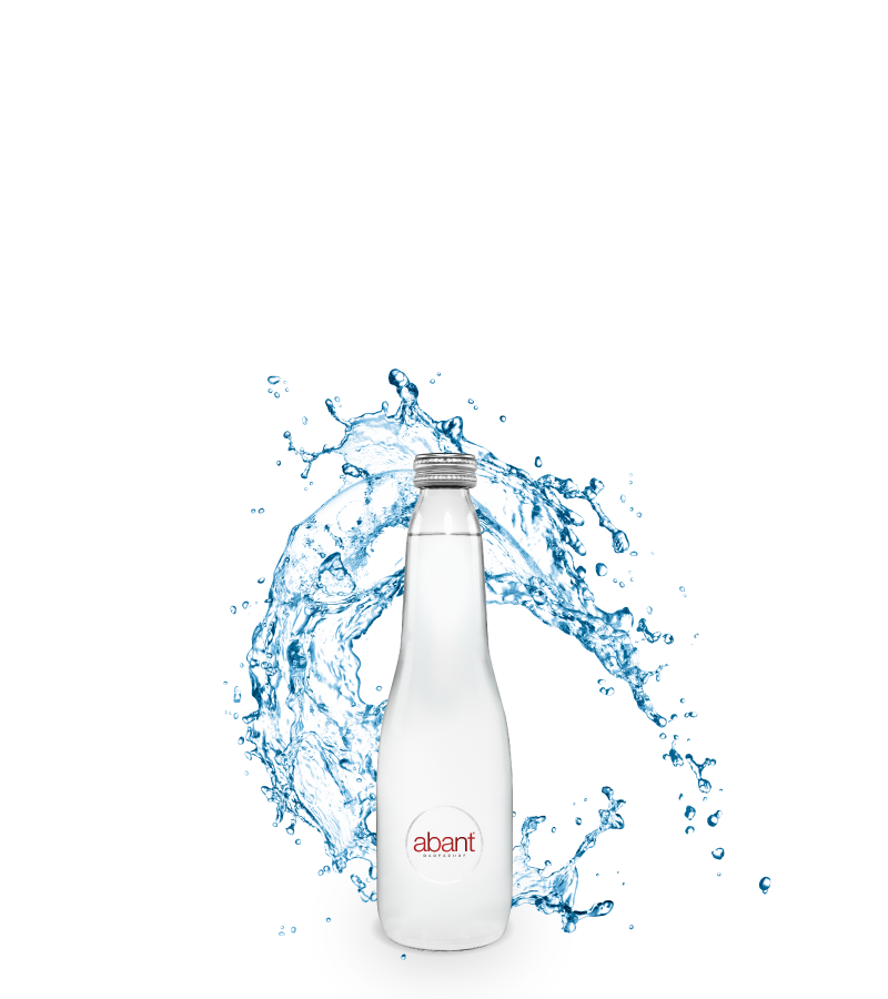 ABANT CAM 0.33 LT (12)