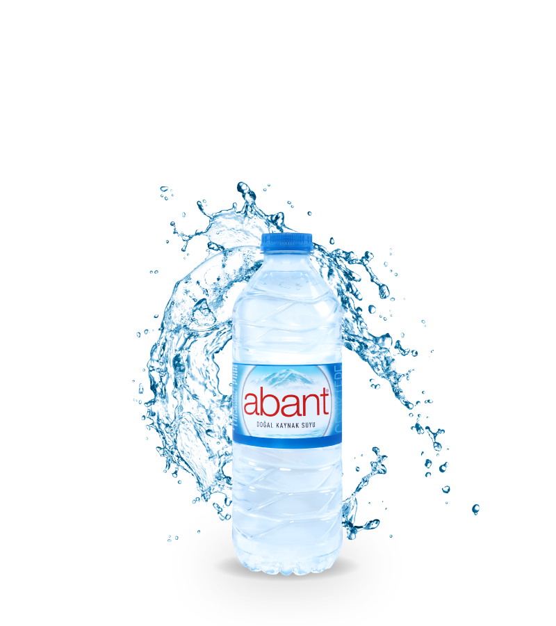 ABANT PET 0.5 LT (12)