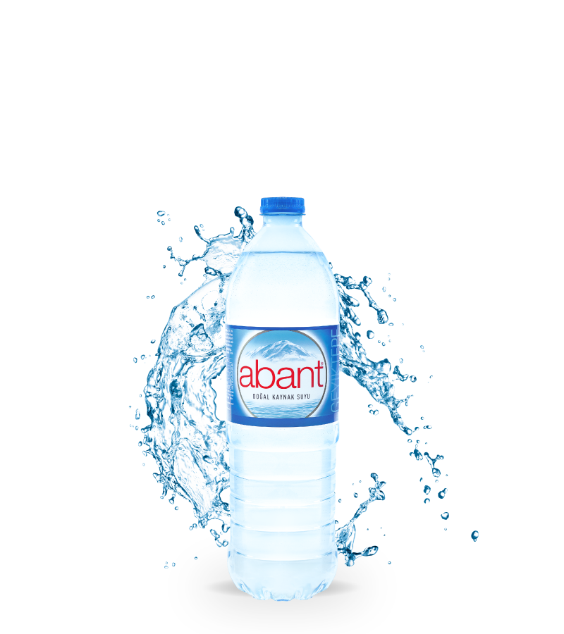ABANT 1.5 LT (6)