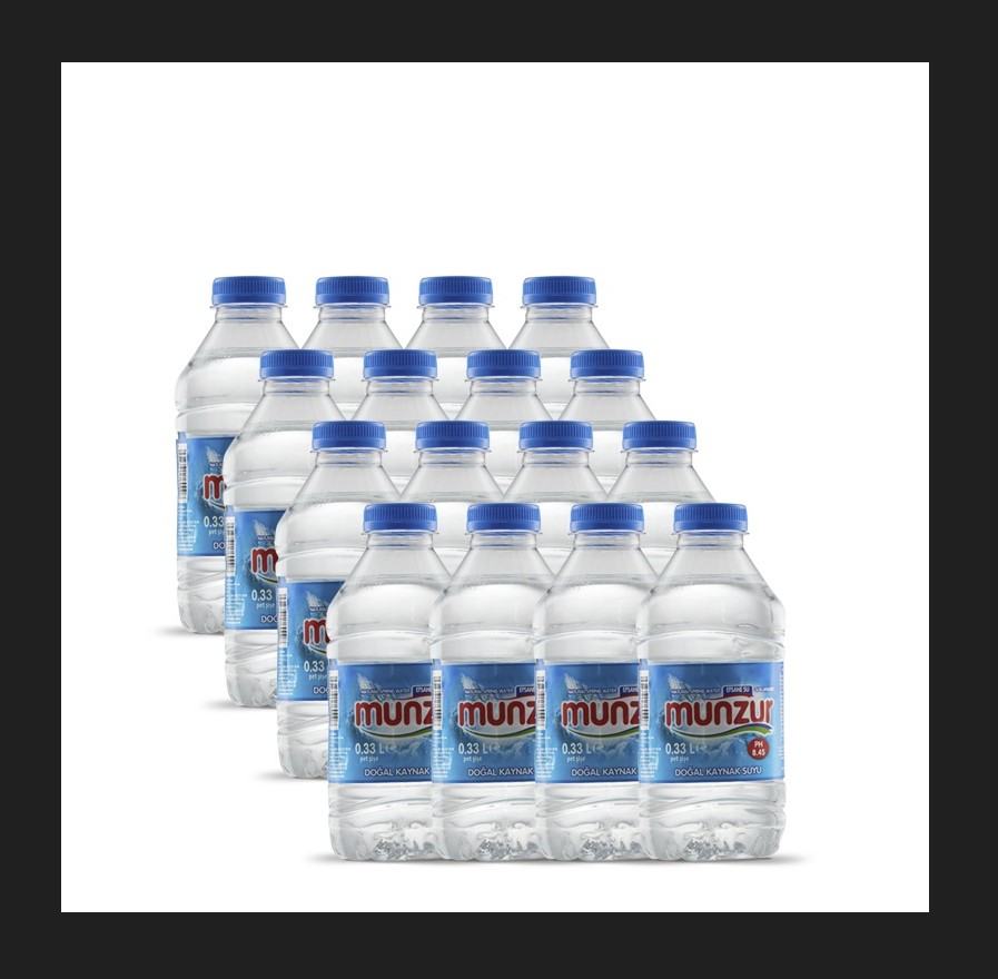 MUNZUR PET 0.33 LT (24)