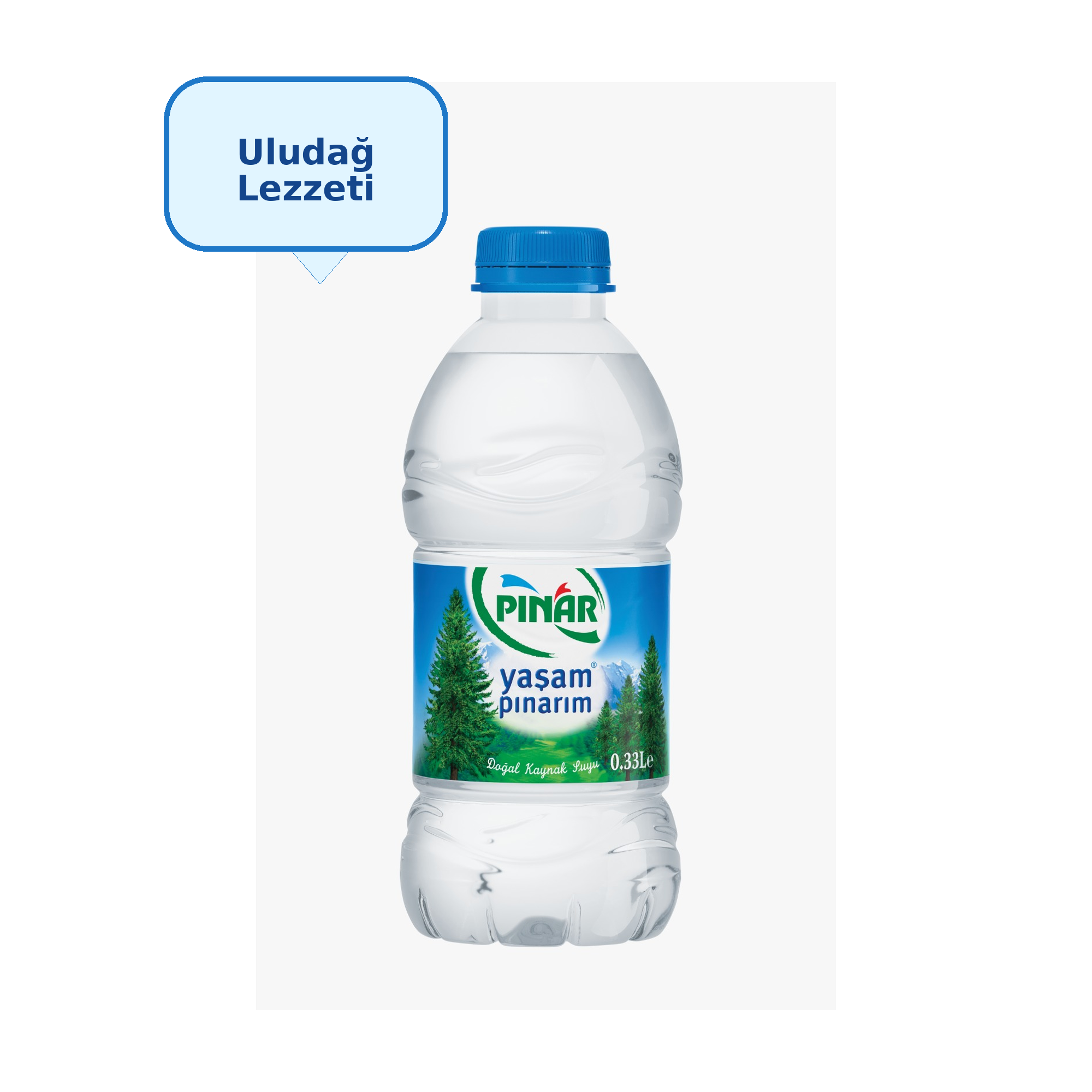 PINAR PET 0,330 LT (12)