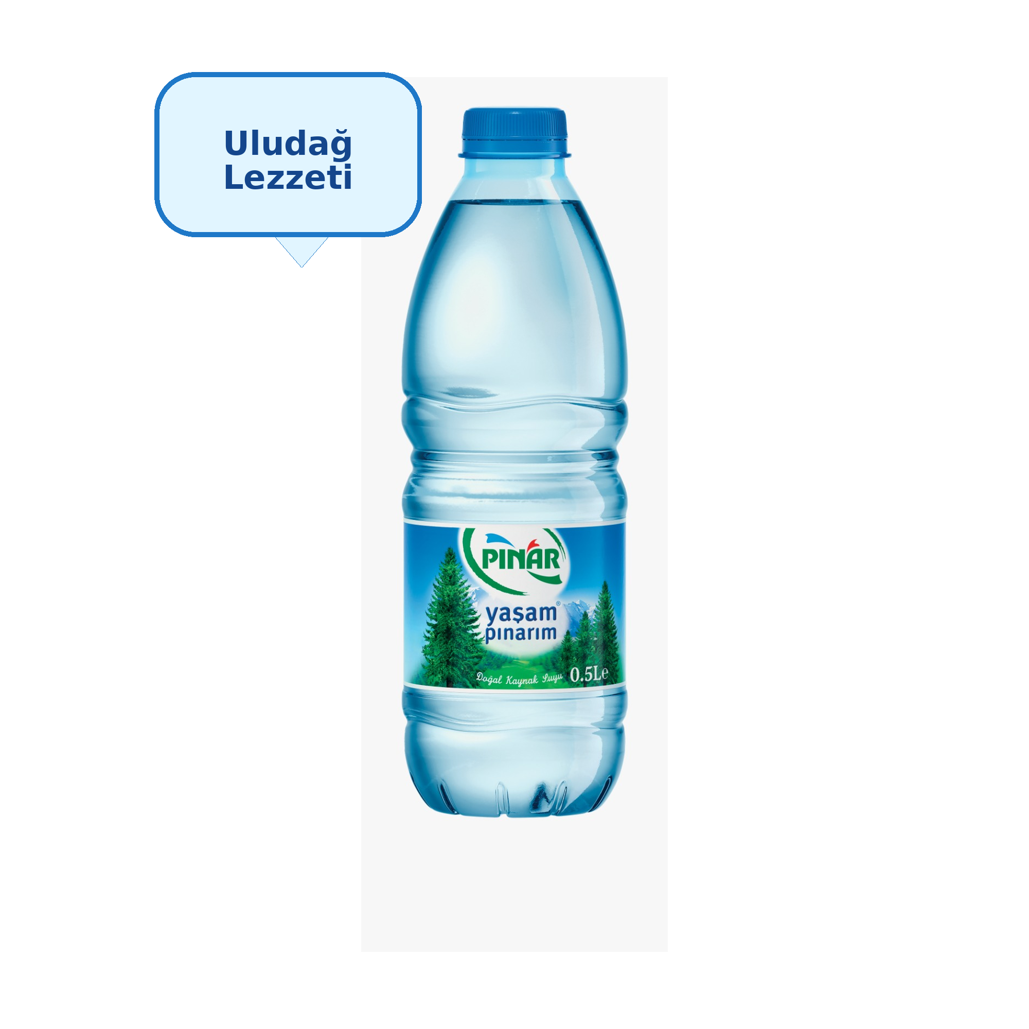 PINAR PET 0.5 LT (12 Adet)