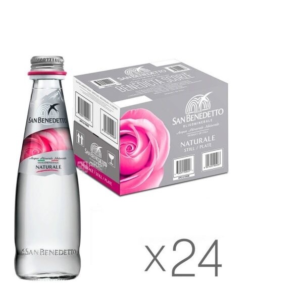 SAN BENETTO STILL CAM SU 250 ML (24 ADET)