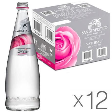 SAN BENETTO STIL CAM SU 750 ML (12 ADET)
